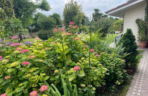 Casa della Nonna Rooms - Foto 19