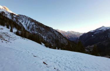 ViviFoppolo - Photo 17