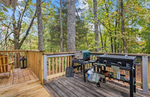 ClemsonILakesideIParkPassIPizzaOvenlYouTubeTVlFirePit - Foto 15