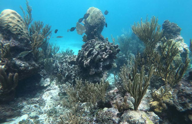 Tulum Sailing Tour - Foto 7