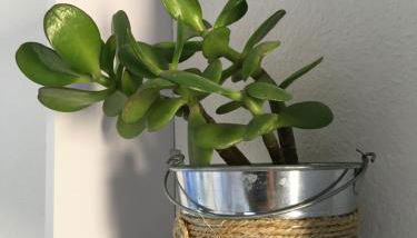 Apartamentos Surest - Foto 5