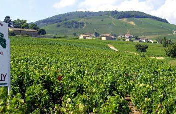 Fleurie Appartement T2 - Foto 17