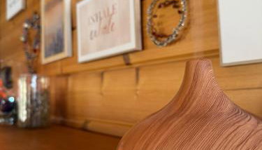 Blockbohlen HolzHaus mit Sauna, Outdoor Jacuzzi und BadeTeich - Foto 4