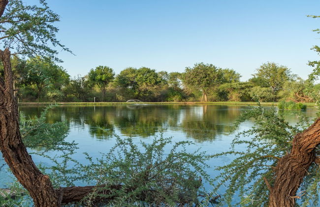 The Dreamcatcher Lodge - Photo 26