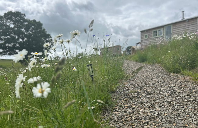 Cosy Devon Hut With Private Hot Tub - Foto 26