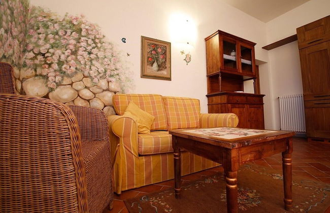 Gatto Bianco Tizzauli - Foto 26