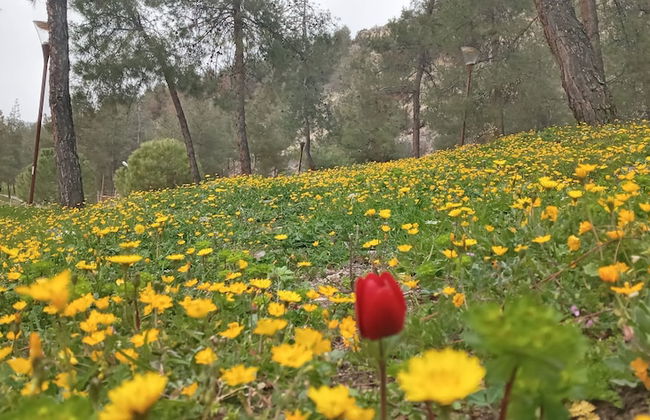 Gunes Thermal Hotel - Foto 35