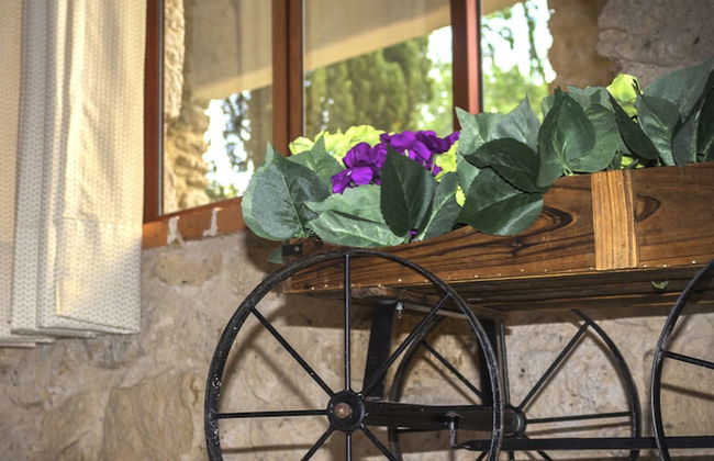 La Mora Casa de Campo - Foto 47