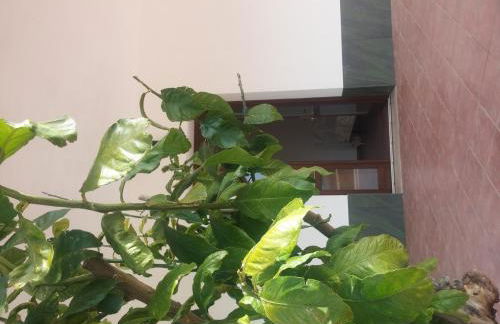 Segesta Antichi Sapori - Foto 67