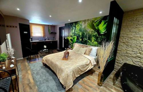 Appartement Chambre Cosy - Jacuzzi - Little Room Vendôme - Foto 9