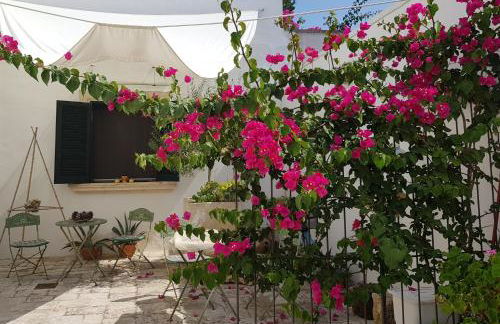 Nel Cuore Del Salento Dimora Tipica - Foto 24