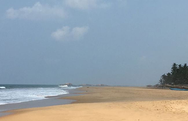 Silence Garden - Foto 46