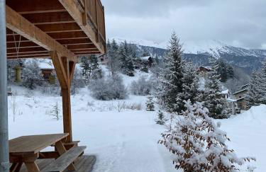 Chalet plein sud 10 personnes garage privé cheminée - Foto 3