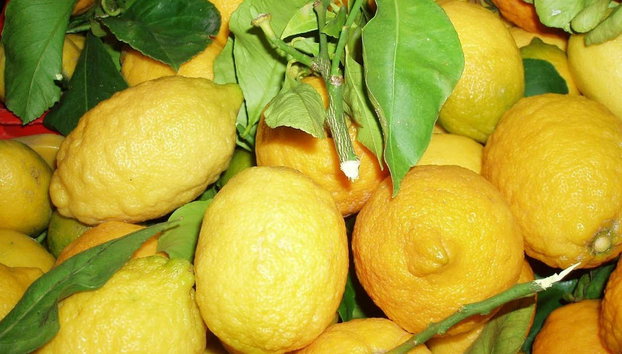 Sorrento Limoncello Tour - Photo 3, Local Sorrento lemons