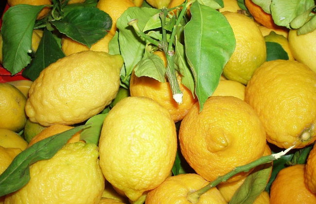 Tour del limón - Foto 3