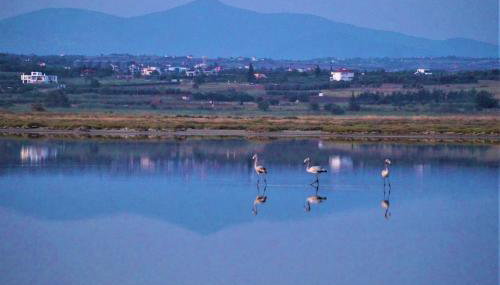 Infinite Blue, Horizon, Elegance, Hospitality - Foto 3