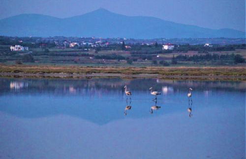 Infinite Blue, Horizon, Elegance, Hospitality - Photo 3