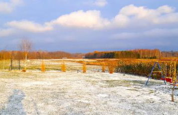 Zacisze pod brzozami - Foto 49