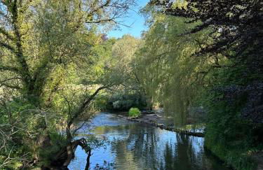 Apartment nahe Naturschutzgebiet „Wurmtal“ - Foto 47