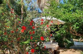 Villa Dunes 350m from the sandy beach - Foto 79