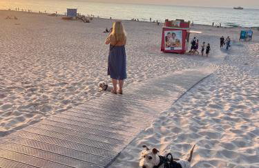 Winnica Bursztynowa - Foto 41