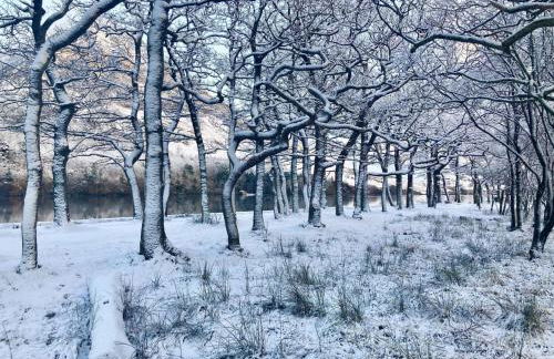 Scale Hill Hotel - Foto 37