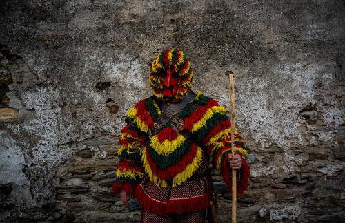 Bungalow "A Choupana" - Quinta da Carvoíça - Vale Pradinhos - Foto 29