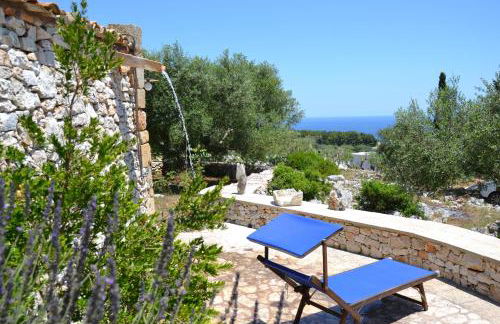 Pajara Rugiada - Foto 8