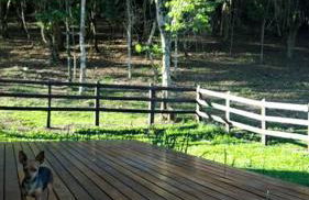 Chalés do Mato Dentro - Photo 37