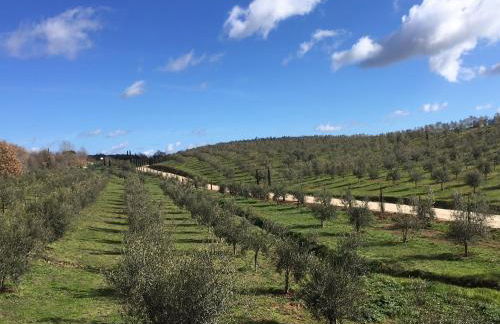 Il Podere di Marfisa - Foto 96