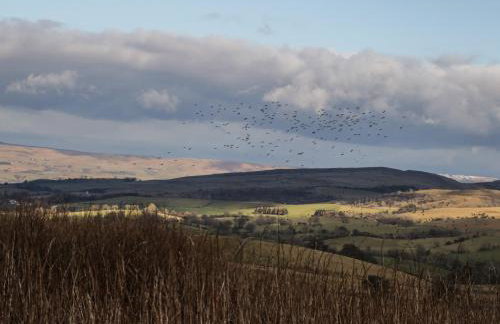 Stable Cottage - Foto 30