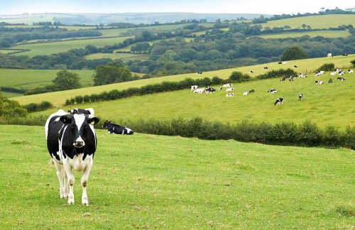 Rampisham Hill Farm Barn - Foto 19