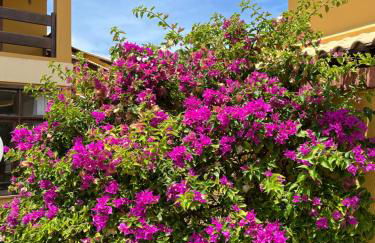 Casa em condomínio, beira mar e piscina Barra de São Miguel - Maceió- AL - Foto 35