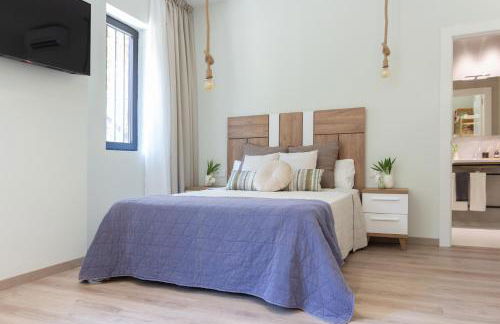 VLC HOST - Reino - Photo 43