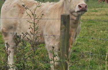 Hillhaven Lodge - Foto 40