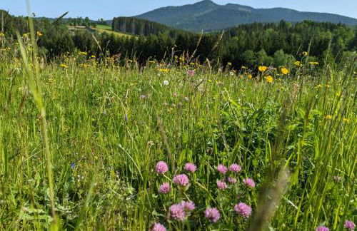 Ferienwohnung Osserglück - Foto 1