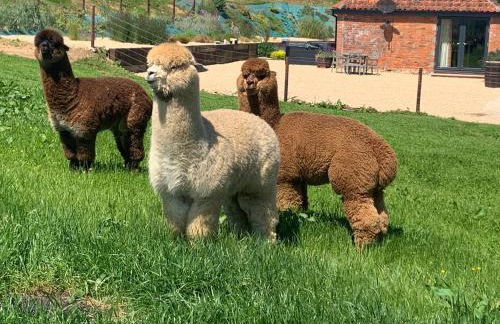 Swallows Nest - Photo 35