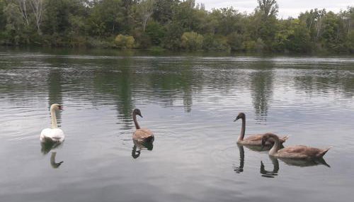 Ferienwohnung Sternenhof - Foto 2