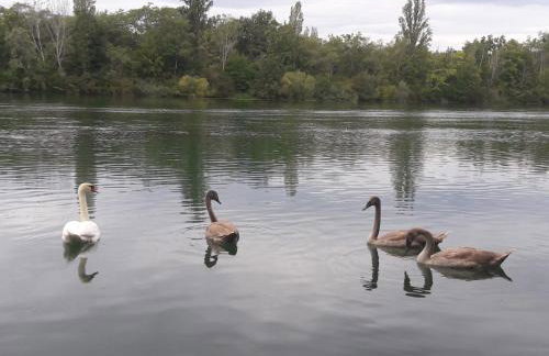 Ferienwohnung Sternenhof - Foto 2
