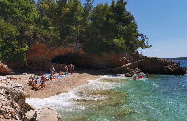 Dino - Gorgeous Garden - SA1 Zavala - Photo 25