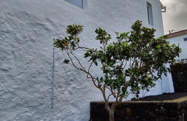 Casa do Marcelino Lagarto - Photo 42