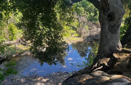 Spacious Home Steps from Huge Park and Outdoor Fun - Foto 61