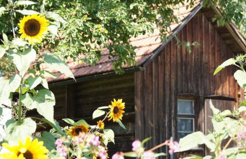 Ferienwohnung im Obstgarten - Foto 48