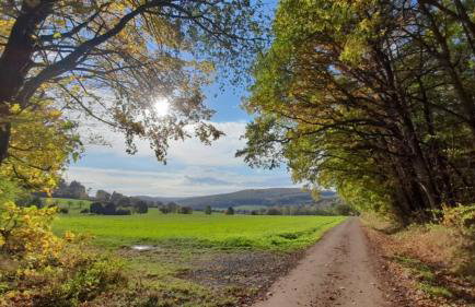 Seminar- & Gasthaus am Waldsee - Foto 16