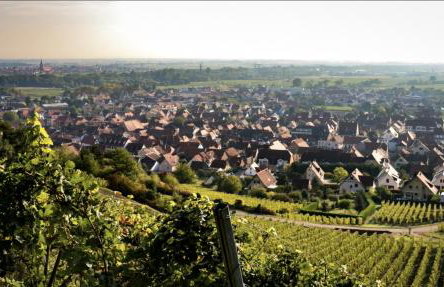 L'étoile de Châtenois - Foto 17