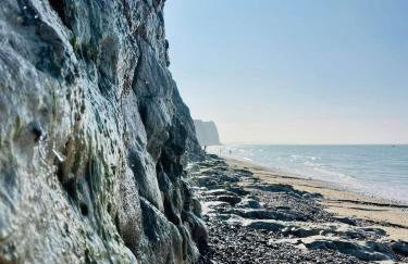 L'abreuvoir de la Mer- villa - plage - Photo 53