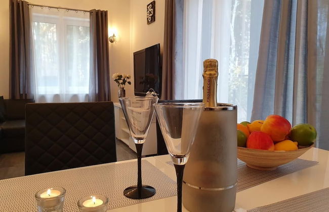 DWIE SOSNY-Apartament na wydmie - 365PAM - Photo 24