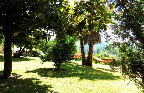 Quinta de S. Vicente 317 - Foto 25