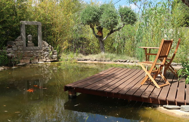 Quintal das Oliveiras - Foto 5