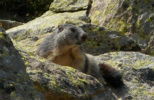 Casa rural cal Rei - Foto 129